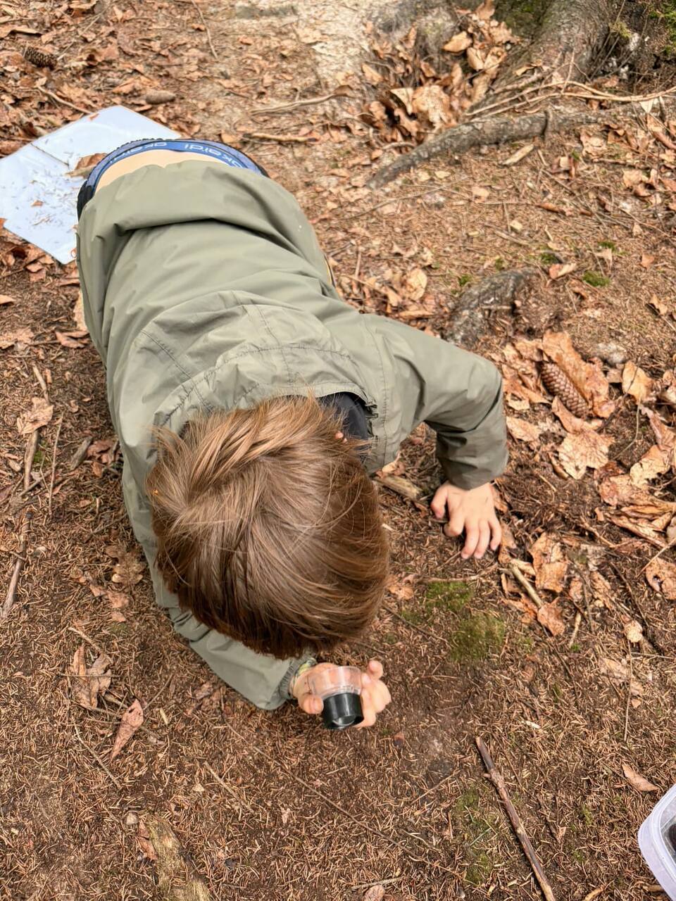 Enfant explorant le sol de la forêt lors d'un anniversaire nature