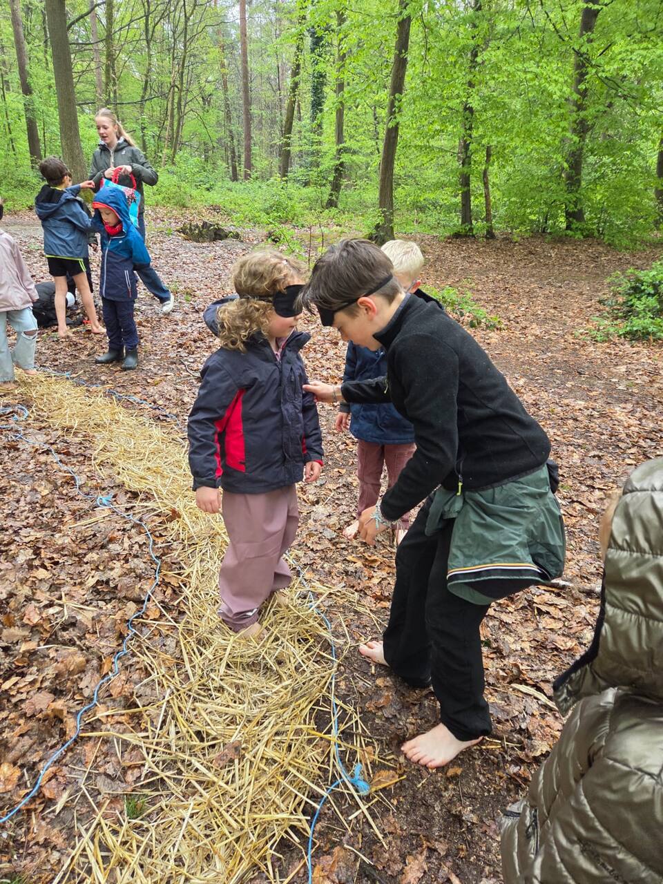 Anniversaires nature dans le Namurois
