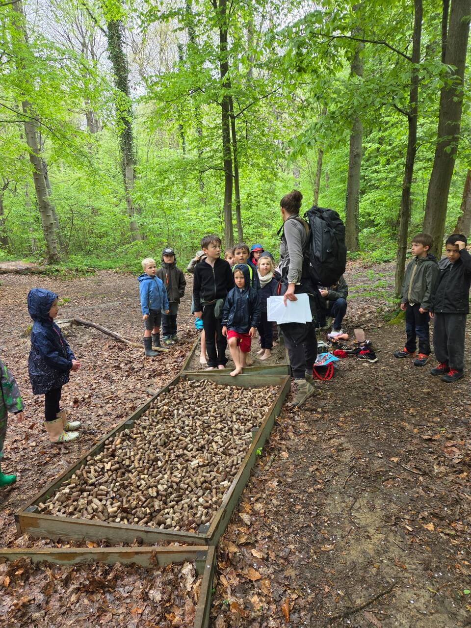 Enfants réunis en forêt lors d'un anniversaire nature