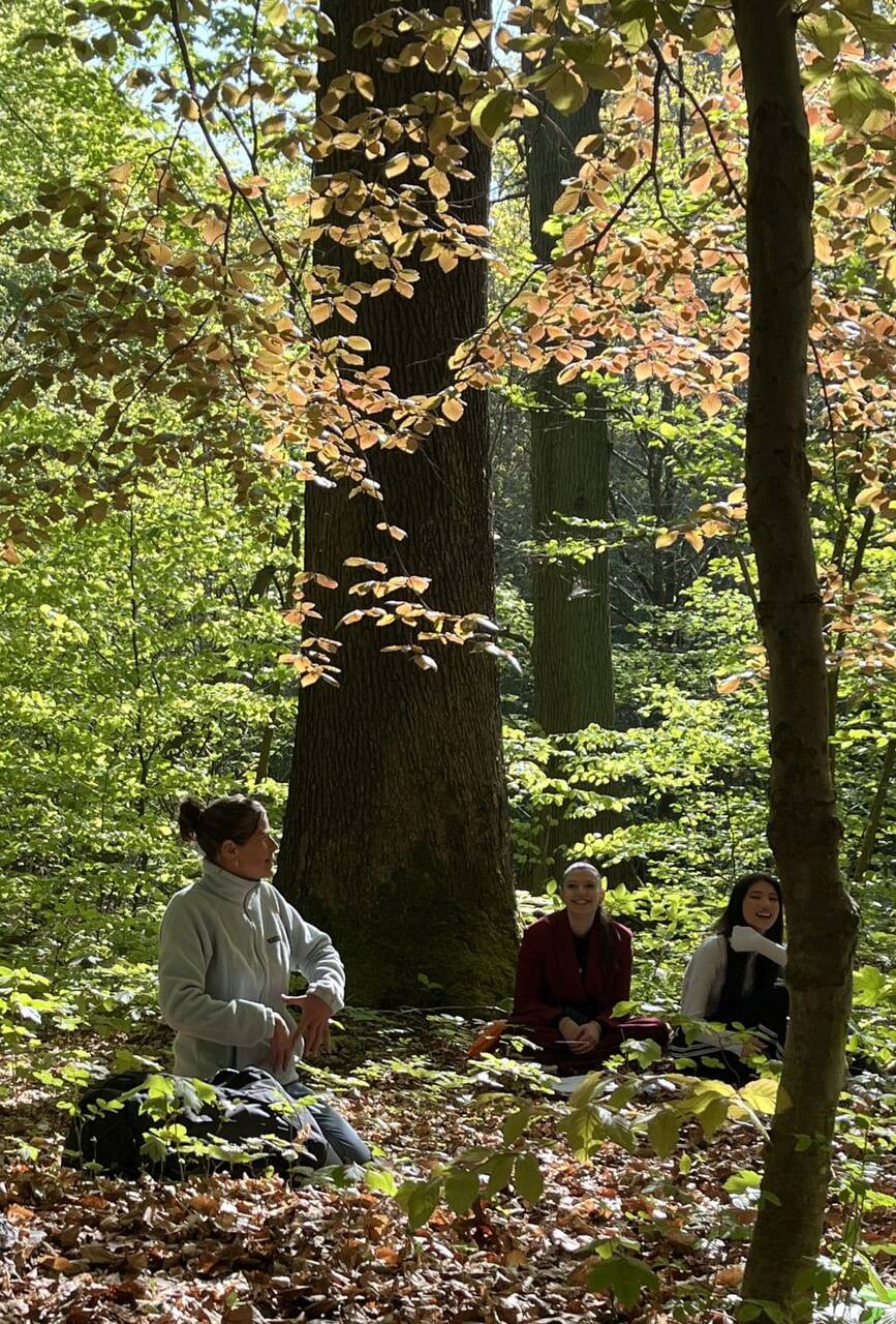 Élèves souriants en forêt lors d'une sortie pédagogique