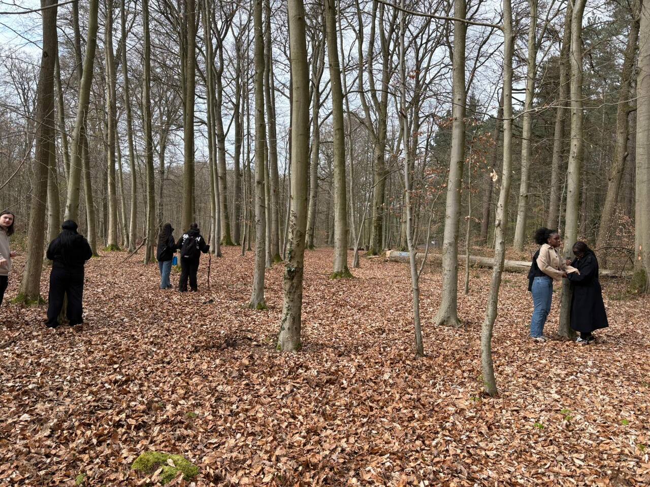 Bois de Lauzelle