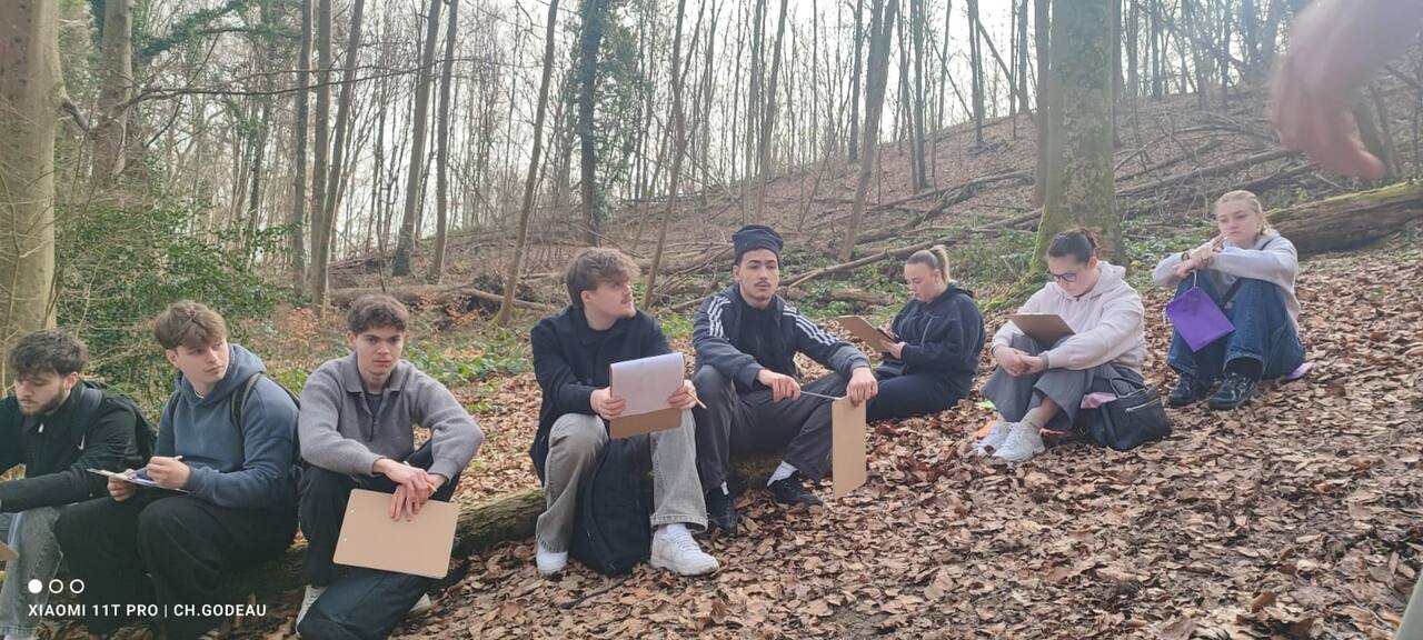 Élèves assis en groupe sur un tronc en forêt