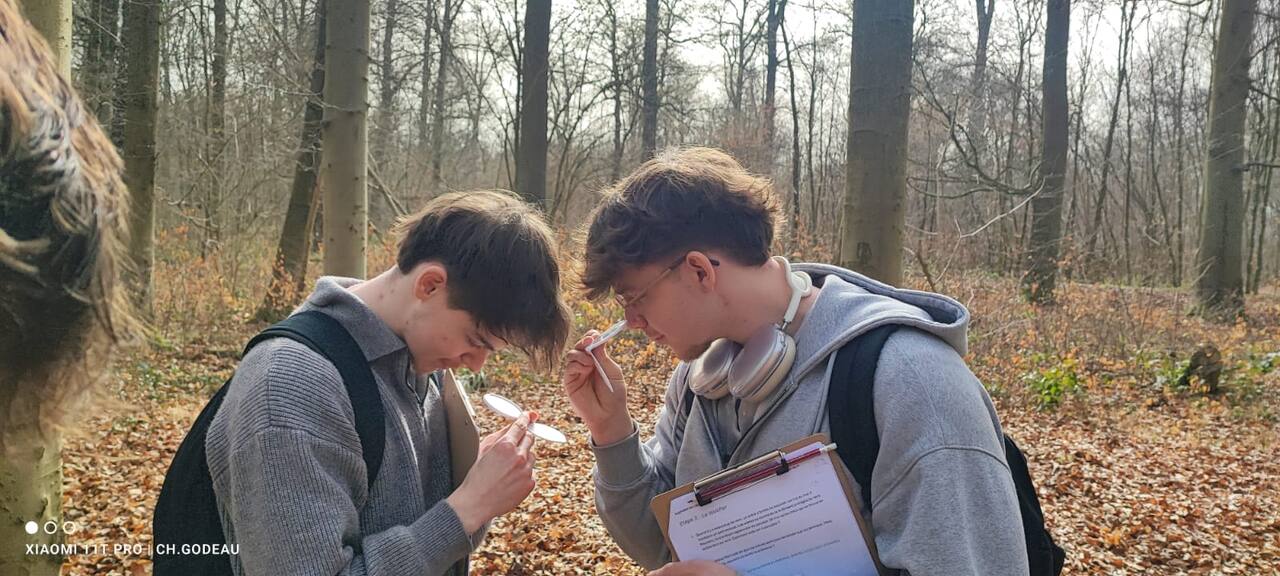 Élèves réalisant un exercice sensoriel olfactif en forêt