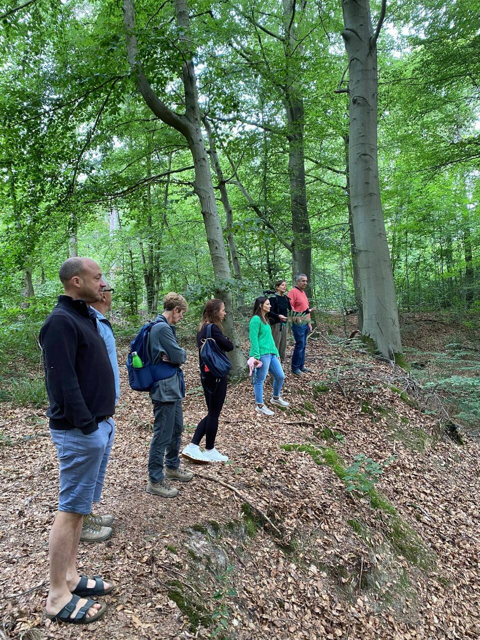Équipe assise en cercle d'écoute en forêt