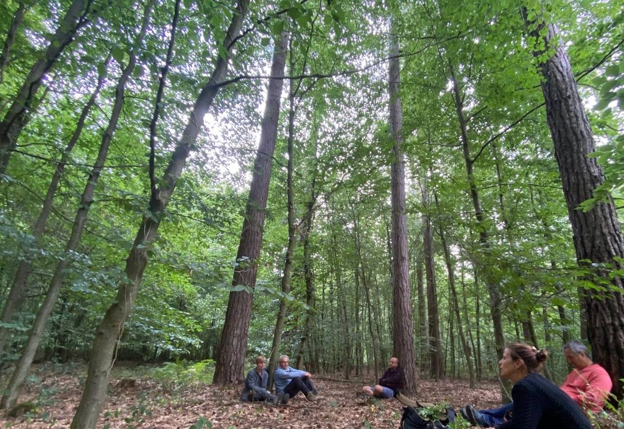 Petit groupe en discussion informelle en forêt