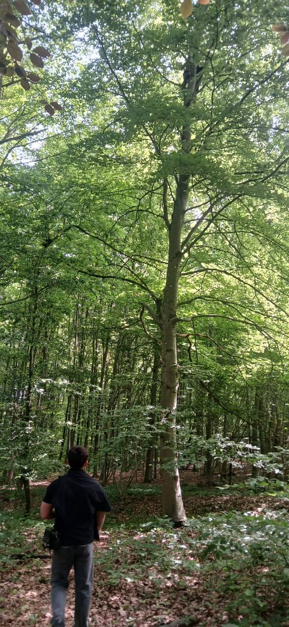 Moment de groupe lors d'une session en forêt