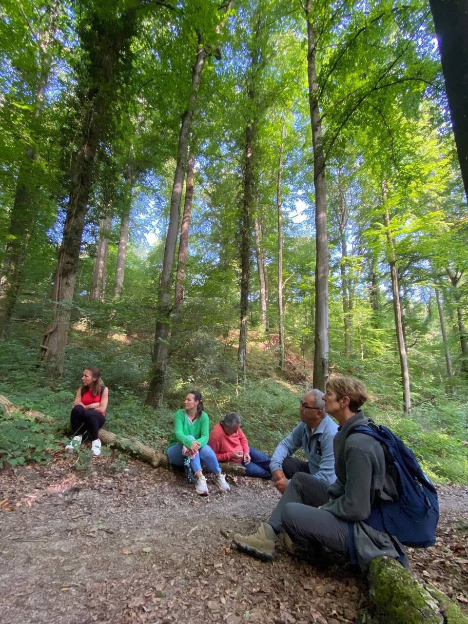 Équipe en immersion guidée en forêt