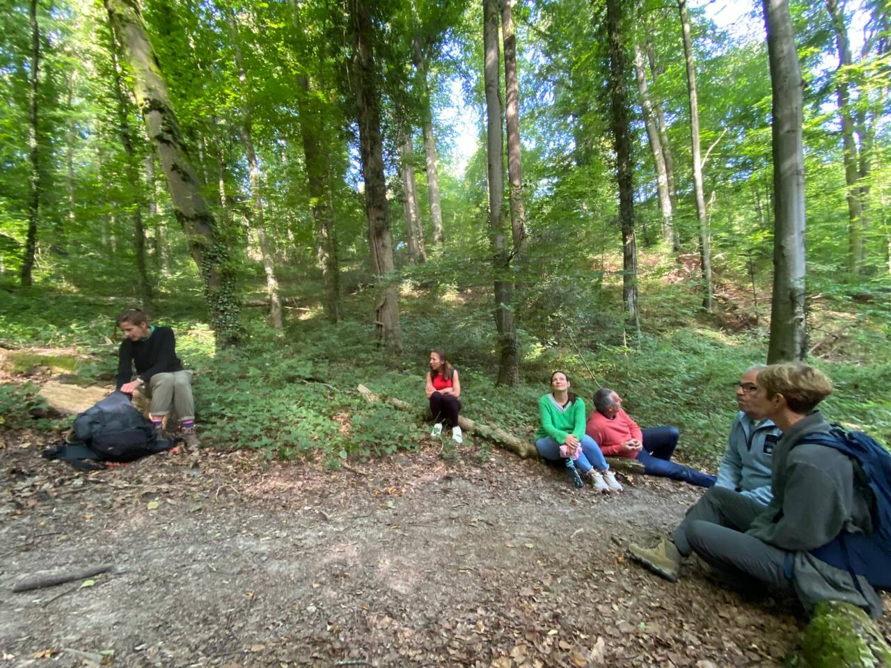 Équipe en immersion guidée en forêt