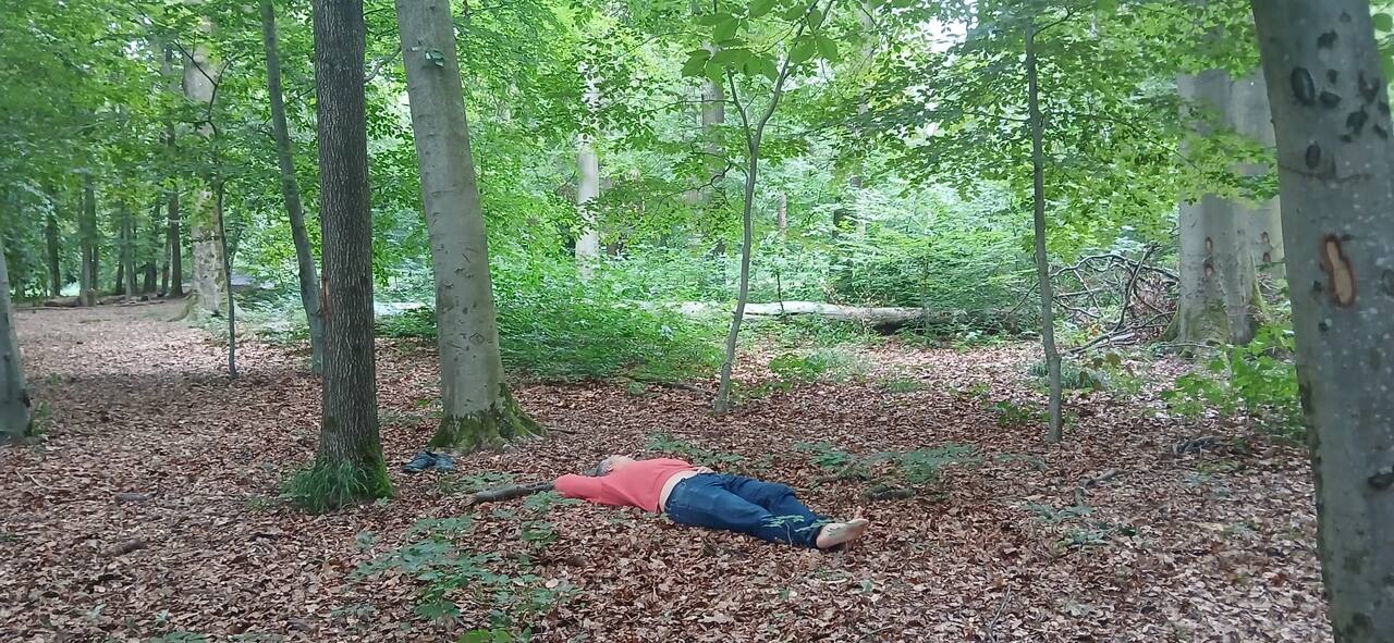 Session de teambuilding en forêt